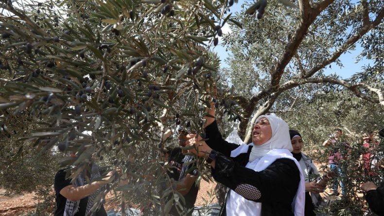الماضي يلاحقنا من بن غوريون حتى بن غفير